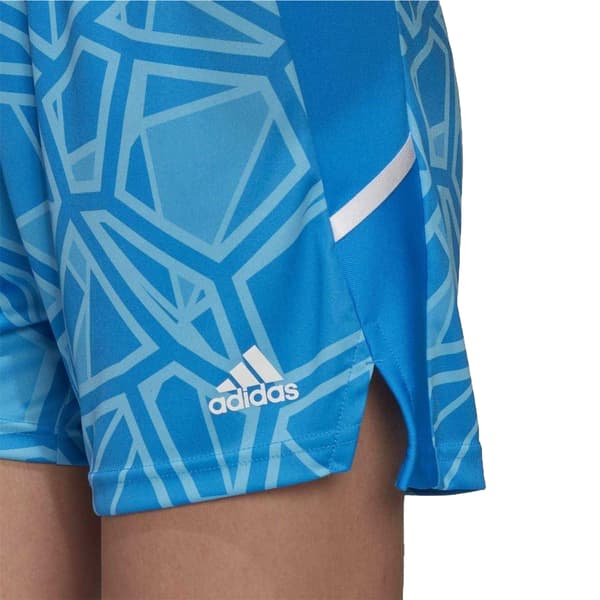 Adidas Långärmad Målvaktströja för Herr