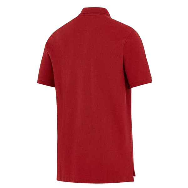 British & Irish Lions Nike Pikétröja för Herr