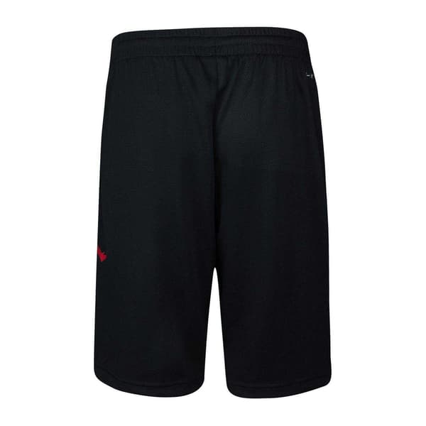 Nike Barn/Kids Mesh Basketshorts