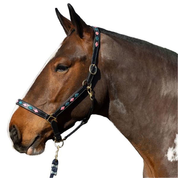 Gallop Diamond Vadderad Lädergrimma för Häst