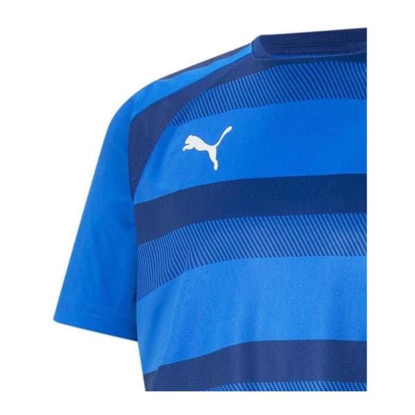 Puma TeamVision Fotbollströja för män