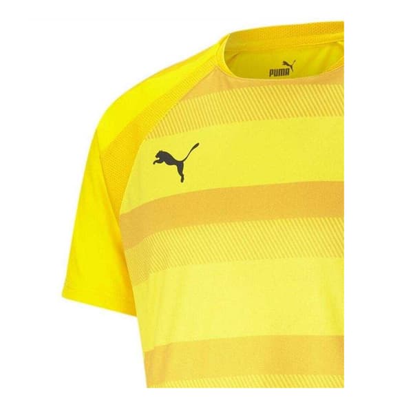 Puma Miesten TeamVision Jalkapallopaita