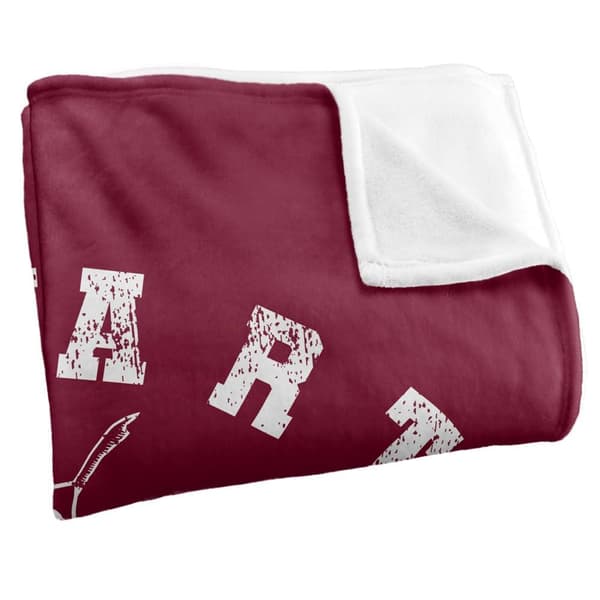 Harry Potter Gryffindor Quidditch Blanket