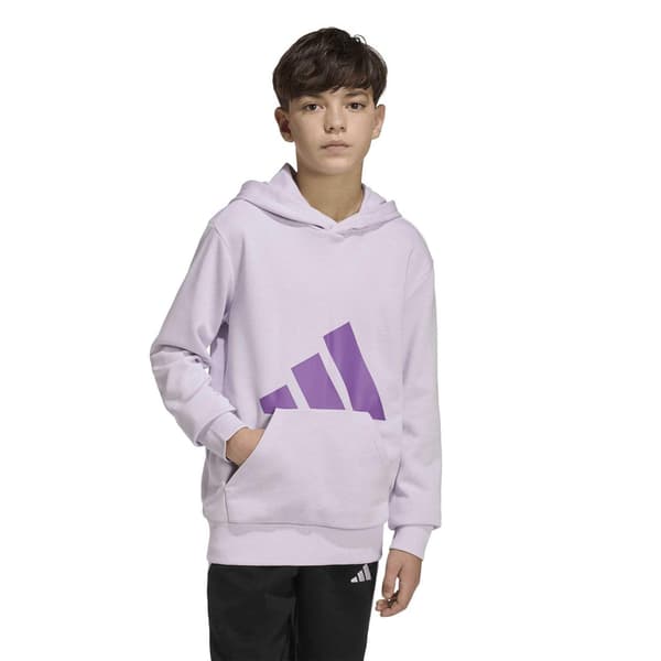 Adidas Lasten Essentials-logohuppari