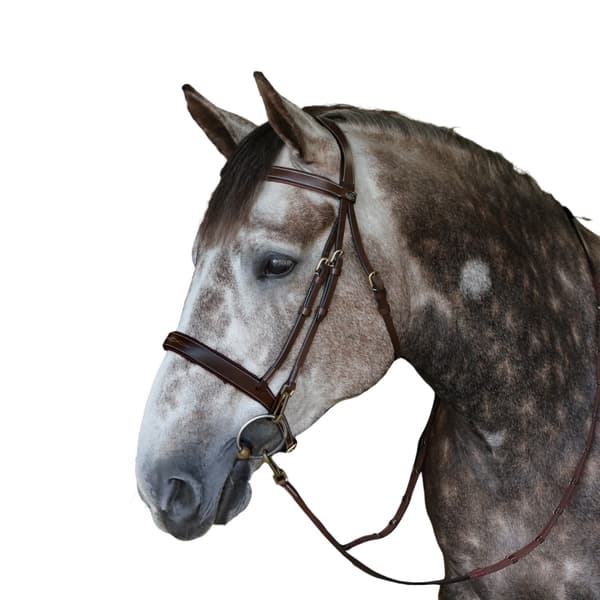 Whitaker Madrid Leather Horse Snaffle Bridle