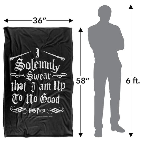Harry Potter I Solemnly Swear Silky Supersoft Blanket