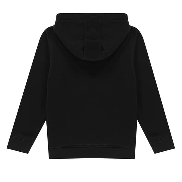 Lacoste Barn/Kids Oth Hoodie