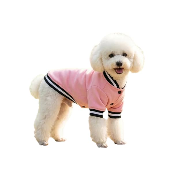 Portman & Pooch Varsity Dog Jacket