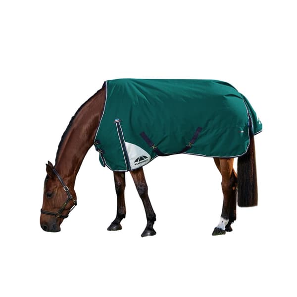 Weatherbeeta Comfitec Plus Dynamic Standard-Neck 100g Hästtäcke