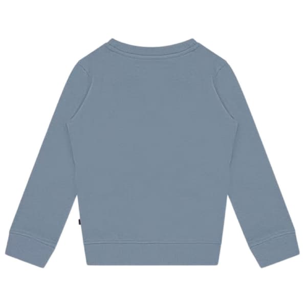 Farah Boys Graphic Print Sweatshirt