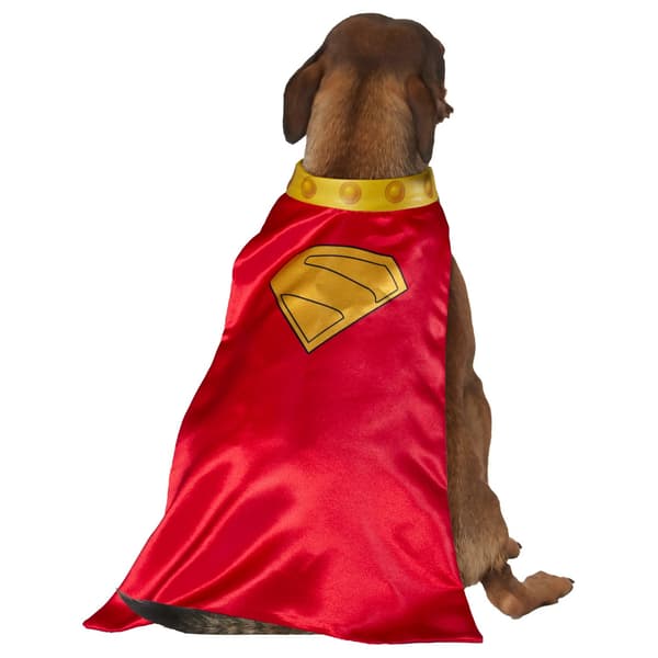 Stålmannen Krypto Hunddräkt