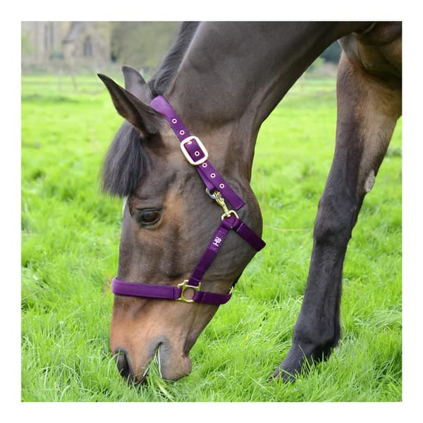 Hy Fieldsafe Headcollar til heste