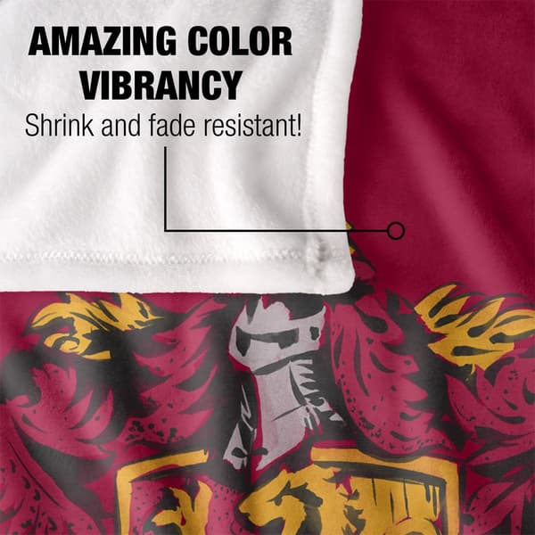 Harry Potter Gryffindor Painted Blanket