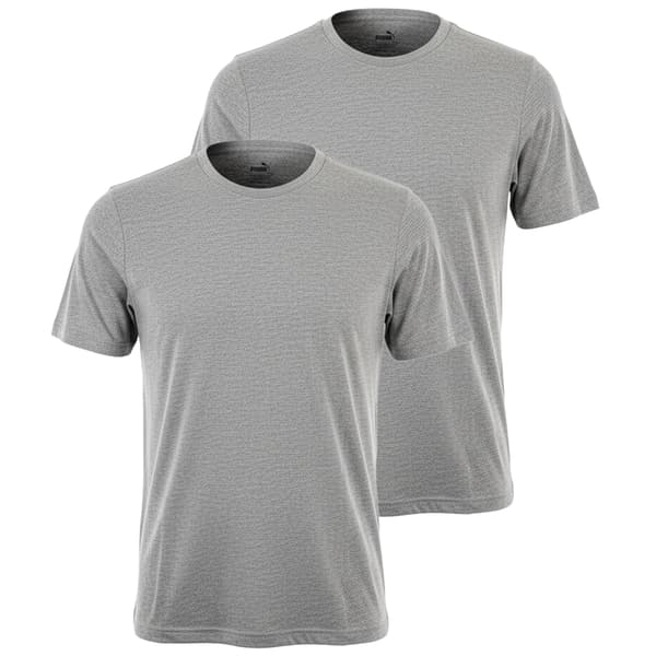 PUMA Herr T-shirt 2-pack Basic T-shirt Grå Bomull Logo