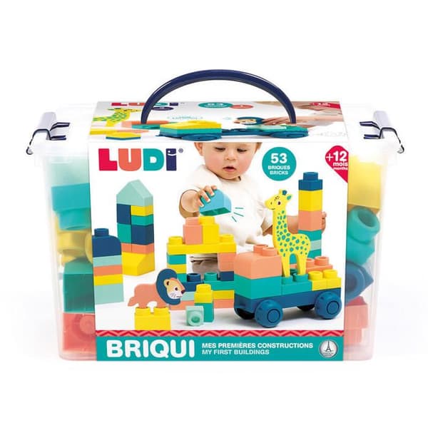 LUDI - Briqui