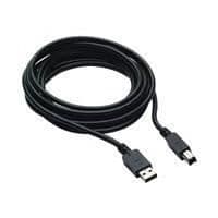 HP DP- och USB B-A-kabel - 300 cm - Svart