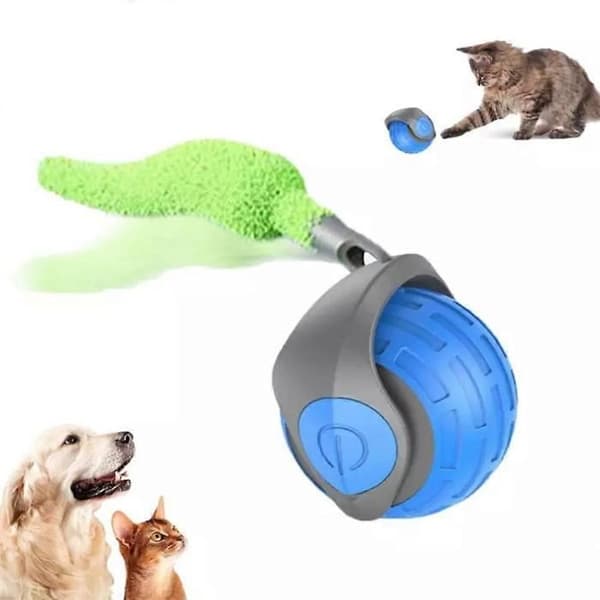 Katteleker, leker med automatisk bevegelse