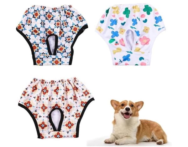 Hundbyxor - Ej specificerade - 3 delar - Återanvändbara - Mjuka - Elastiska