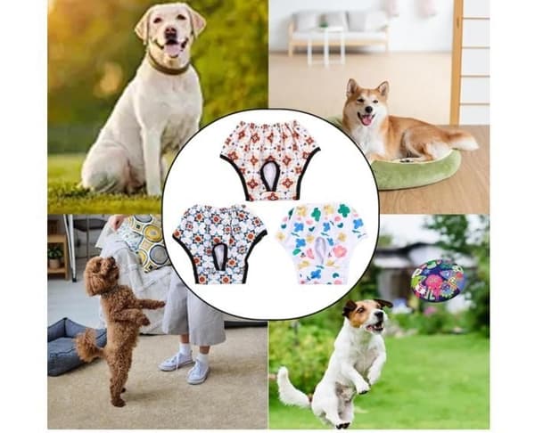 Hundbyxor - Ej specificerade - 3 delar - Återanvändbara - Mjuka - Elastiska
