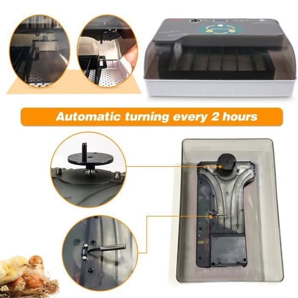 Automatisk inkubator för 12 ägg med smart digital kontroll - temperaturkontroll - grå
