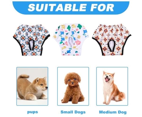 Hundbyxor - Ej specificerade - 3 delar - Återanvändbara - Mjuka - Elastiska