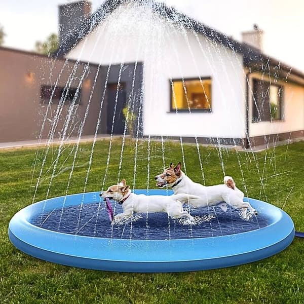 Hundebasseng med vannfontene