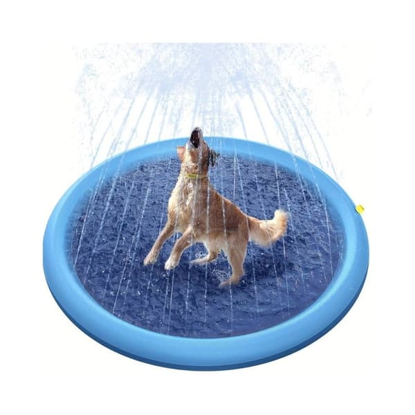 Hundpool med vattenfontän