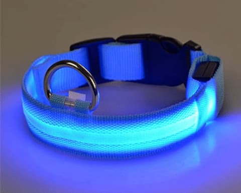 Dog collar with LED lights