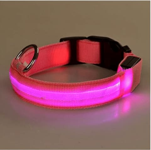 Dog collar with LED lights