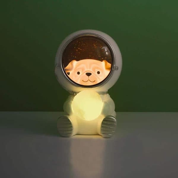 Astronaut, LED-nattlys med dyr