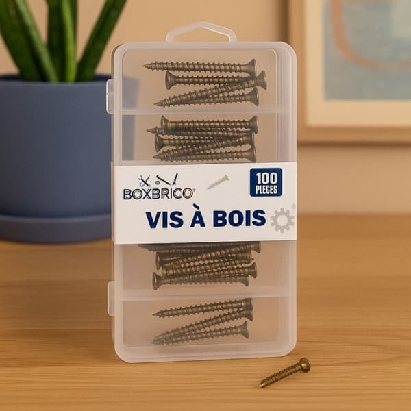 Vis à Bois - BOXBRICO - Förpackning med 100 - 5 Storlekar - Solid Stål - Fällande Huvud