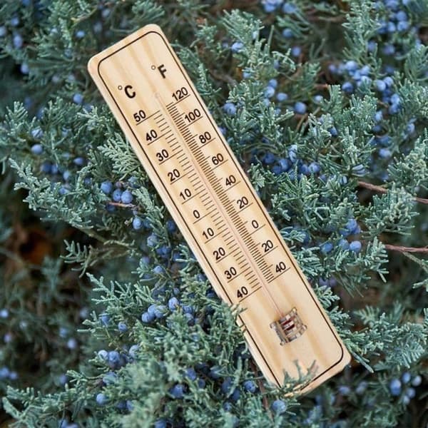 Väggtermometer - 5-pack - Hållbart trä - -40°C till 50°C - 21,5 cm x 4,8 cm