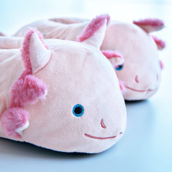 Axolotl hjemmesko – blød polyester, universel pasform 36–41