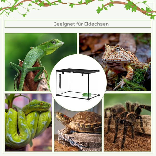Glasterrarium med termometer 50x30x35 cm