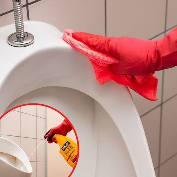 ERLA R3011 SANIZ MAX 750ML