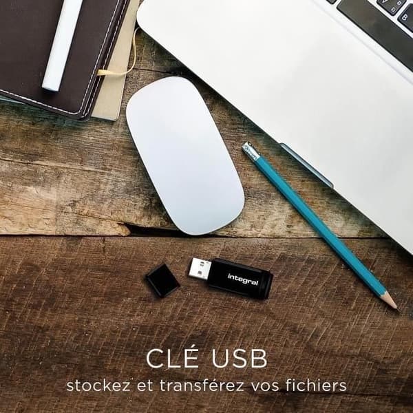 USB-nøgle - INTEGRAL - 128 GB - USB 2.0 - Sort