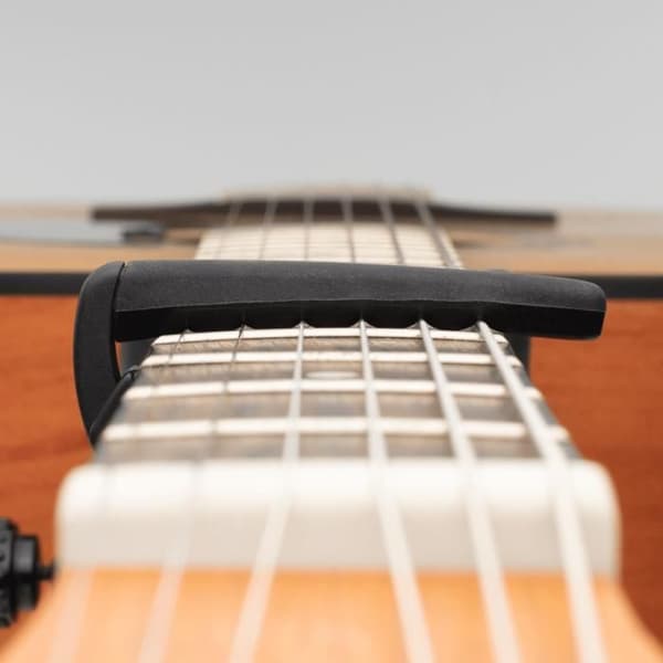 D'Addario PW-CP-19 Pro Plus Capo sort Capodastre