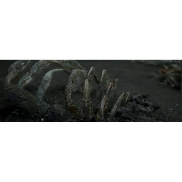 DØDSSTRANDING- REFURBISHED