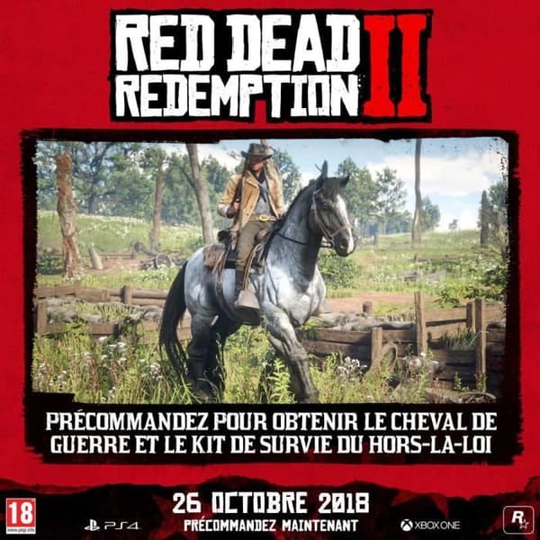 Red Dead Redemption 2 PS4-spil- USED