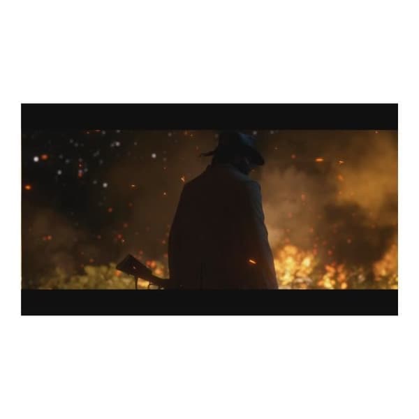 Red Dead Redemption 2 PlayStation 4- USED