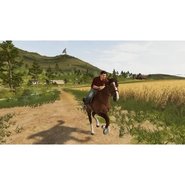 Farming Simulator 20 Peli Switch- USED
