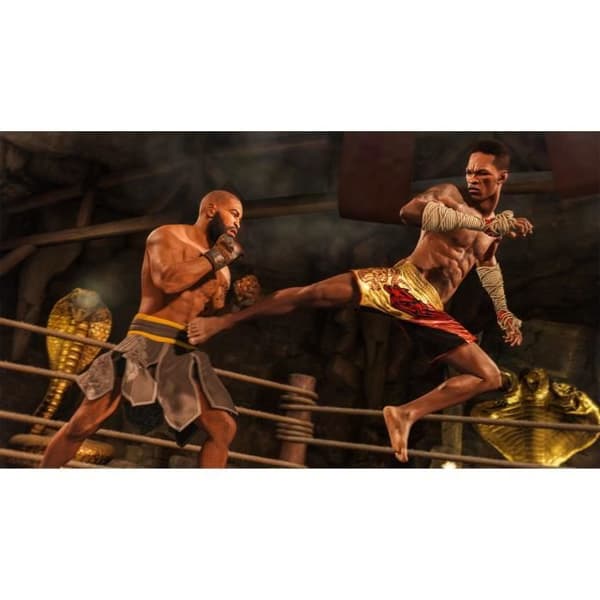 UFC 4 Spel PS4