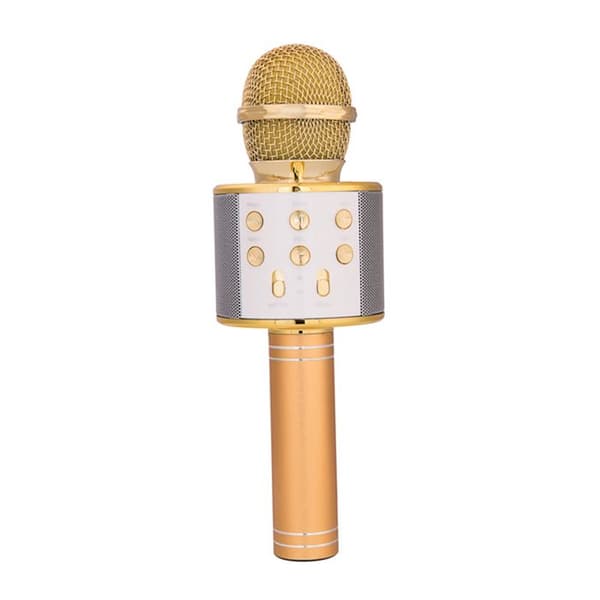 Bluetooth Karaoke-mikrofon - AVIZAR - Guld - Bluetooth 5.0 - Portabel - USB och micro-SD