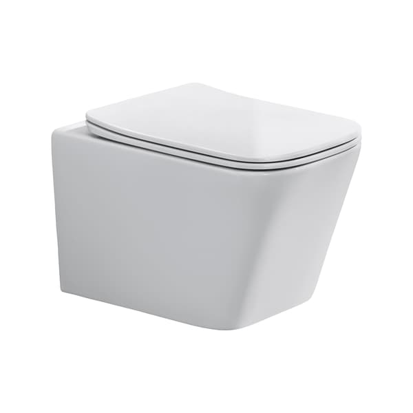 Væghængt Toilet