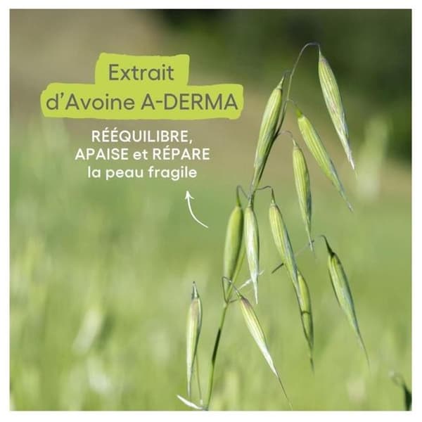 A-Derma De Uundgåelige Læbebalsam Reparation Intens 4g