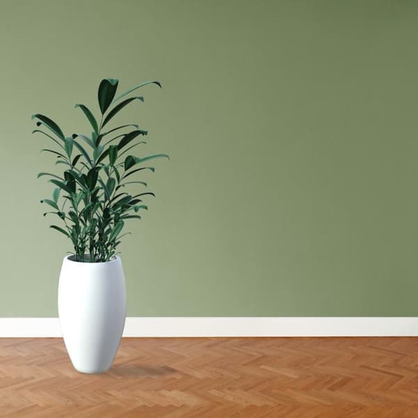 PROVISTON Modern Sockellist 13 x 58 x 2400 mm i Medium (MDF) Matt krämbelagd