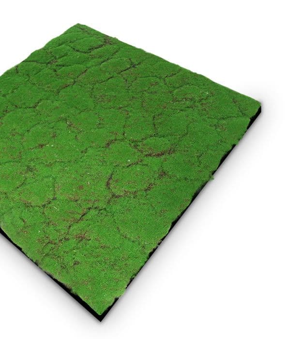 JANGAL - Modular Wall - Akustisk väggpanel - 520 x 520 x 30 mm - Skogsgrön designermossa - Växtpanel