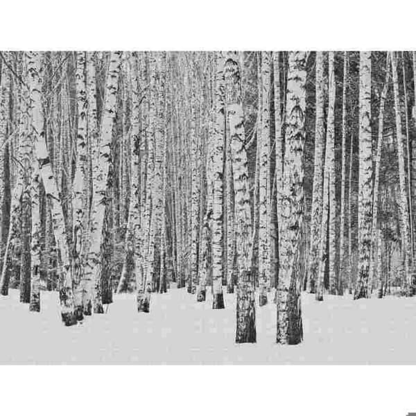 Panorama|Fresco The Wall - AS-382591