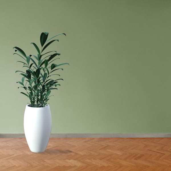 PROVISTON Modern sockel 18 x 58 x 2400 mm Medium (MDF) Belagd Oder Ekdekor