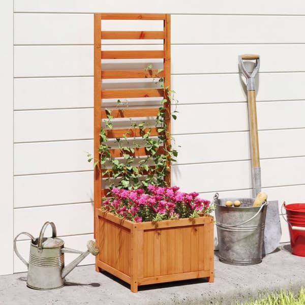 Højbed med espalier, grantræ